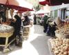 #المصري اليوم - مال - استقرار أسعار الخضروات ووفرة «الفاكهة» بعد إلغاء الحظر وعودة المطاعم للعمل موجز نيوز
