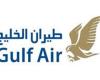 #المصري اليوم -#اخبار العالم - 9 شركات طيران عربية تعود إلى العمل مع رفع حظر كورونا موجز نيوز