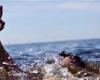 الوفد -الحوادث - مصرع شاب غرقا فى مياه البحر الصغير بالكردى موجز نيوز