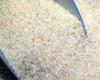 الوفد -الحوادث - سقوط تاجر بـ 6.5 طن أرز ومكرونة مجهولة المصدر بالقليوبية موجز نيوز