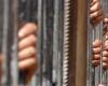 الوفد -الحوادث - حبس 4 عاطلين بتهمة ترويج المخدرات في طوخ موجز نيوز