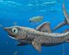 المصري اليوم - تكنولوجيا - سمكة قرش غريبة عمرها 370 مليون عام موجز نيوز