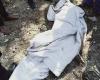 #المصري اليوم -#حوادث - تكثيف أمني لكشف غموض العثور على جثة طفلة داخل جوال في ترعة في المنوفية موجز نيوز