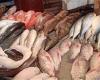 #المصري اليوم - مال - انخفاض أسعار الأسماك واستقرار اللحوم موجز نيوز