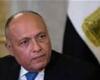 المصري اليوم - اخبار مصر- وزير الخارجية: نحتاج إلى رؤى استشرافية لمواجهة التهديدات بالقارة الإفريقية موجز نيوز