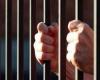 #اليوم السابع - #حوادث - جنايات المنيا تقضى بالسجن المؤبد لشخص قتل زوجته