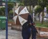 المصري اليوم - اخبار مصر- هطول أمطار خفيفة ومتوسطة على الدقهلية ليلًا موجز نيوز