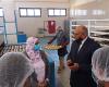 المصري اليوم - اخبار مصر- نائب محافظ أسوان تتفقد مصنع التغذية المدرسية في عزب كيما موجز نيوز
