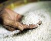#المصري اليوم - مال - «صناعة الحبوب»: مبادرة لتخفيض أسعار الأرز 20% موجز نيوز