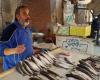 اخبار السياسه انخفاض أسعار الأسماك في الإسماعيلية بنسبة 30%