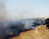 الوفد -الحوادث - إخماد حريق في أرض فضاء بكورنيش حدائق حلوان موجز نيوز