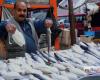 #المصري اليوم - مال - قفزة مفاجئة.. تعرف على سعر السمك والجمبري في مصر الاثنين 17 مايو 2021 موجز نيوز