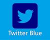 المصري اليوم - تكنولوجيا - تويتر تطرح خدمة الاشتراك Twitter Blue موجز نيوز