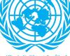#المصري اليوم -#اخبار العالم - الأمم المتحدة تطلق برنامج مساعدات للناجيات من العنف في فلسطين موجز نيوز